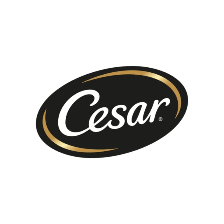 NSC Partners Landing Page Page  cesar